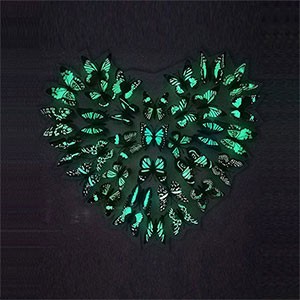 12 Pcs Simulation Luminous butterfly 3D Wall StickerHome festival decoration Glow in the dark Magnet