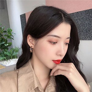 Adolph Korean Leopard Hoop Earrings Geometry Circle Earrings