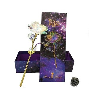 Valentines Day Gift Girlfriend Love Gift Rose LED Light Flower In Glass Valentine's Day Gift for Mom Wedding Gifts Party Favors