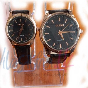 Fashion Couple Watches Automatic Watch Leather Strap Design Brand Women Men's Mechanical Wristwatches