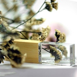 USB flash drive Walnut Crystal black carton USB 2.0 Maple paper box