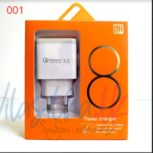 MI 2 Pin Charger