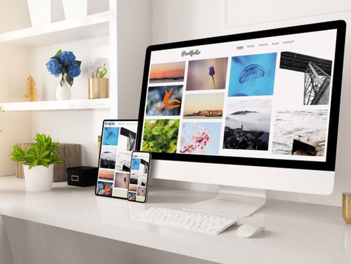 Ants Creation Test Product 02