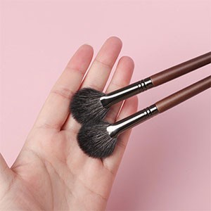 BETHY BEAUTY 2PCS Fan Shape Brush Powder Blending Highlighting Makeup Brush