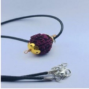 Rudraksha Pendant With Necklace